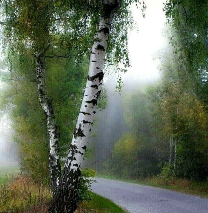 Лето на исходе... 